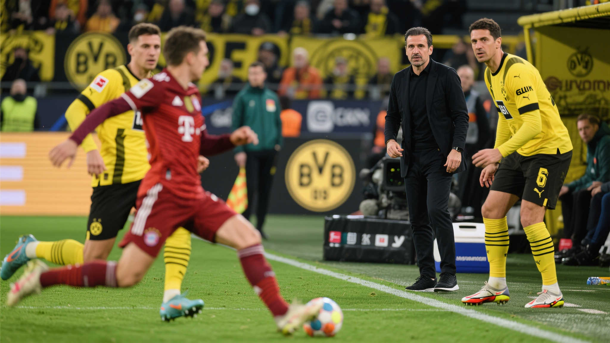 每年的NB 每年的NB