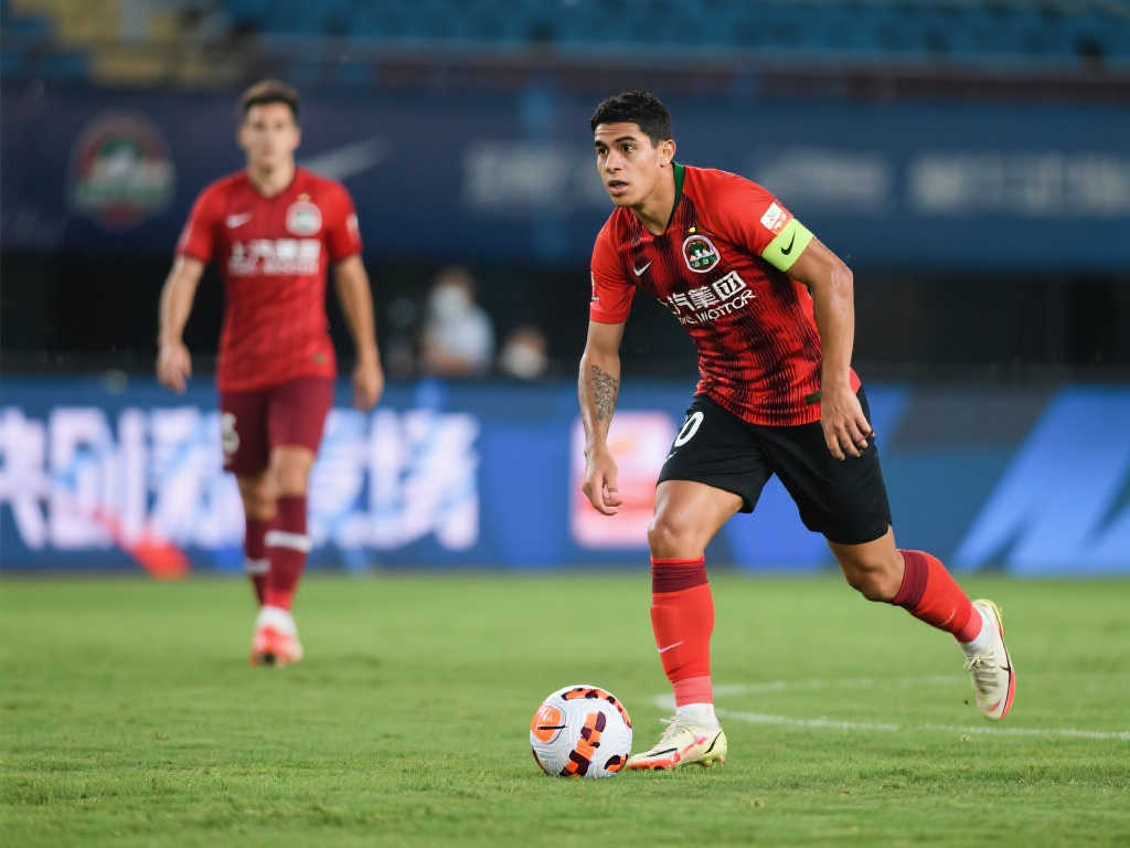 仅是财力的 仅是财力的