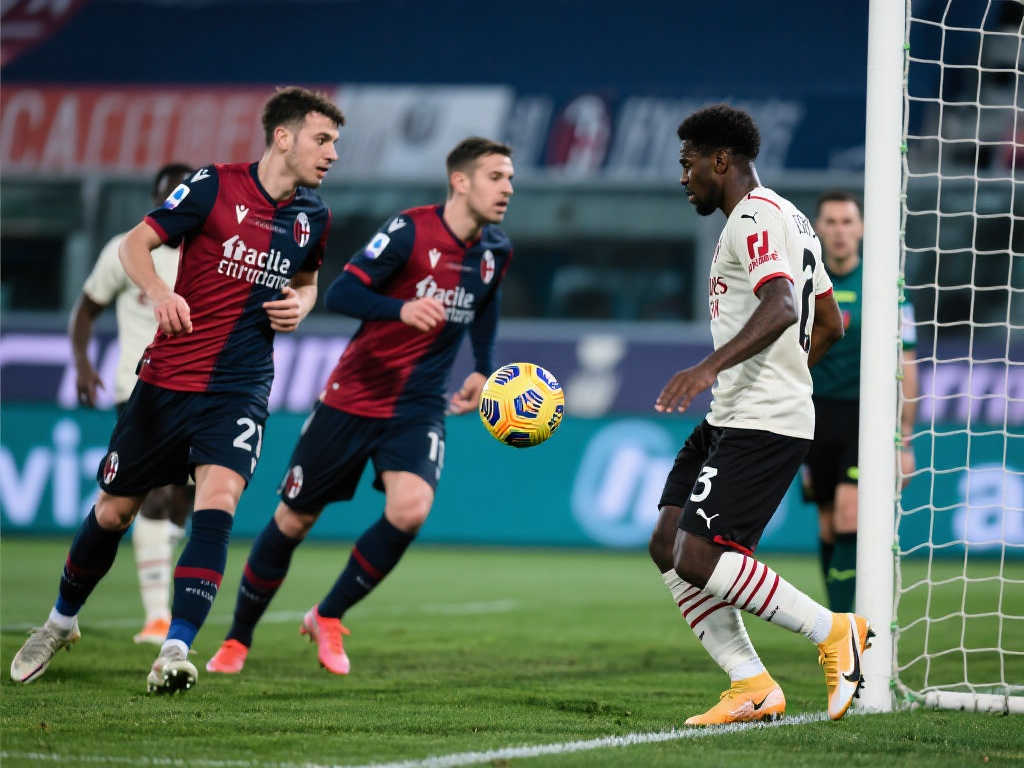 自己的视野 自己的视野